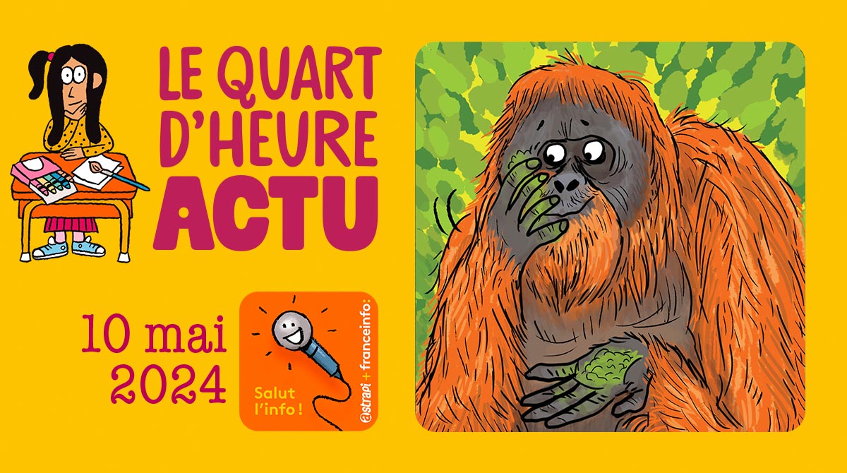 Salut l'info ! Quart d'heure Actu du 10 mai 2024. Un orang-outan main. Illustration : El don Guillermo et Zelda Zonk.